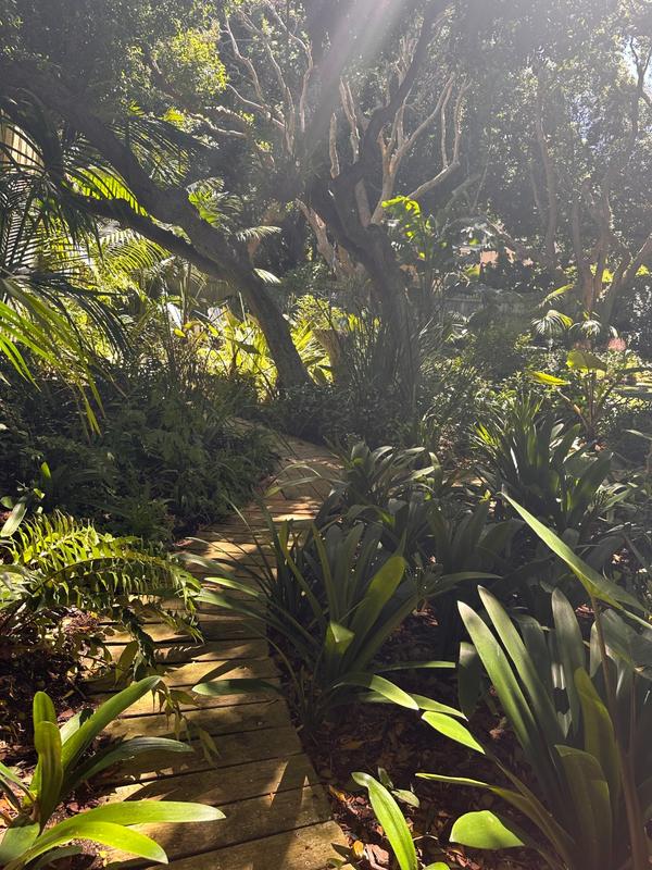 To Let 0 Bedroom Property for Rent in Chapman